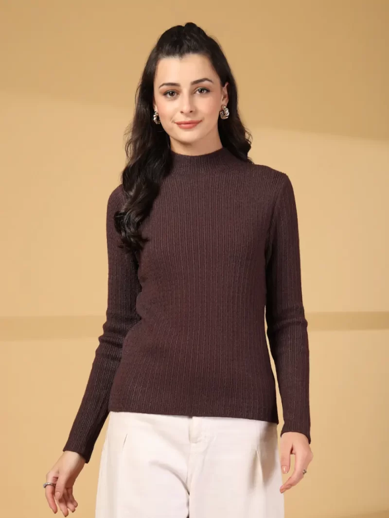 Women Self Design High Neck Regular Top