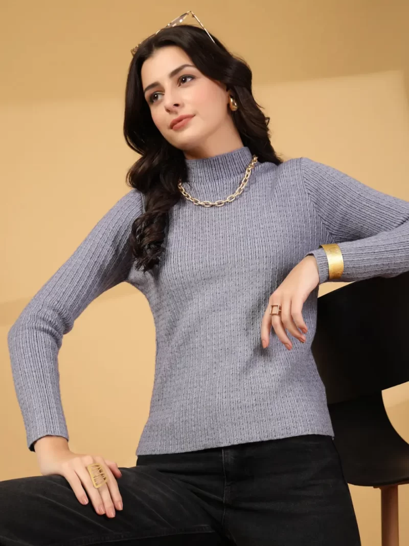 Women Self Design High Neck Regular Top