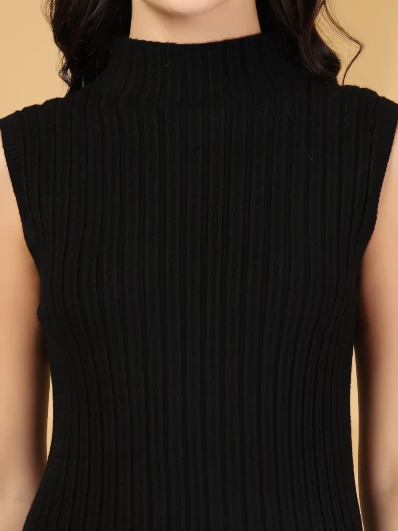 Women Ribbed High Neck Fitted Top