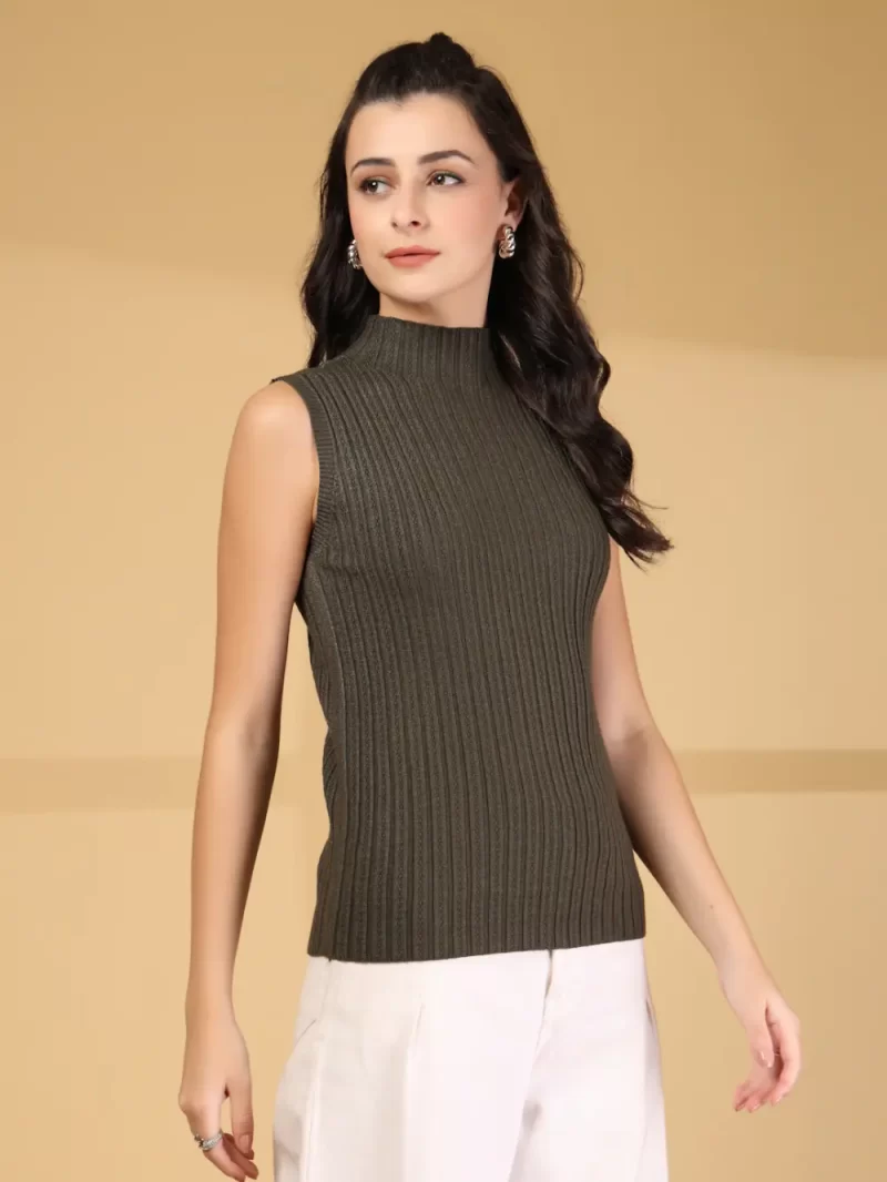 Women Ribbed High Neck Fitted Top