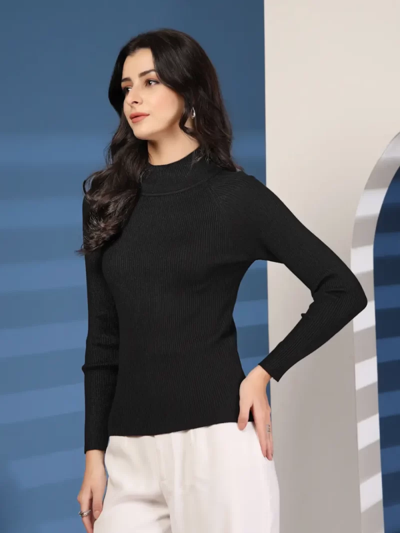 Women Ribbed High Neck Long Sleeves Top