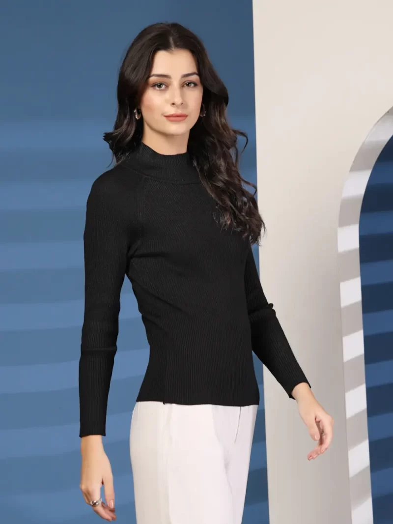 Women Ribbed High Neck Long Sleeves Top
