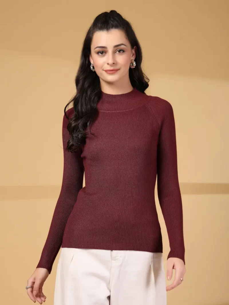 Women Ribbed High Neck Long Sleeves Top