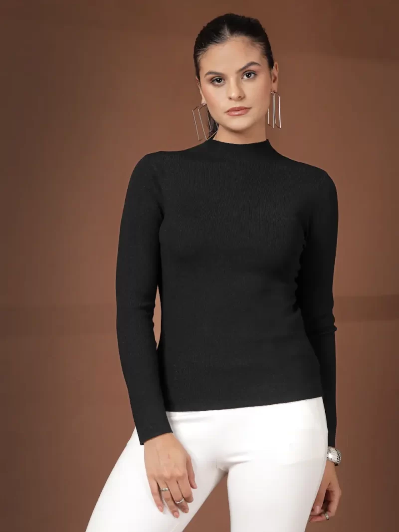 Women Solid Turtle Neck Top