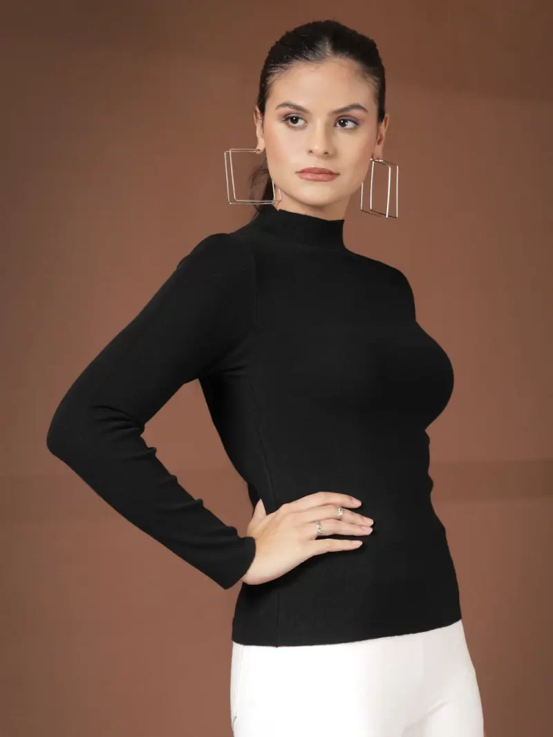 Women Solid Turtle Neck Top