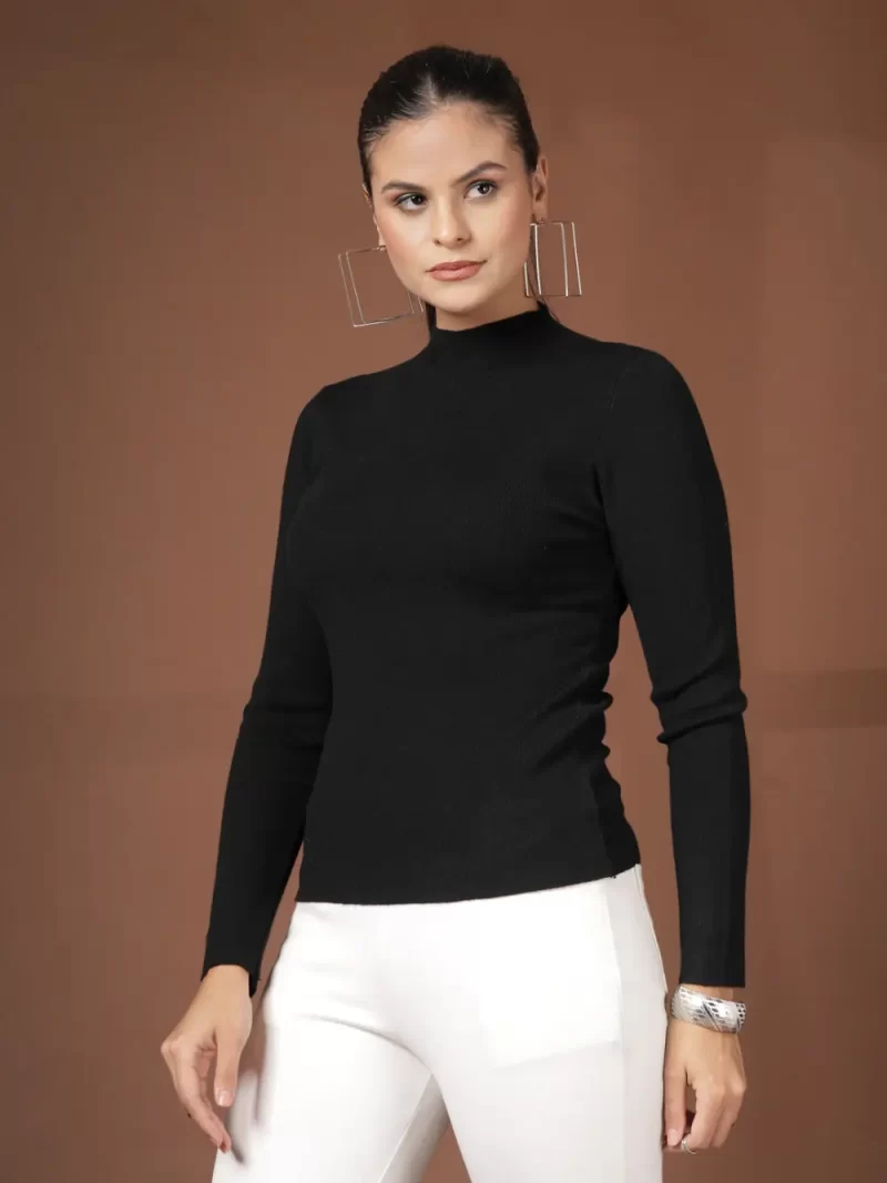 Women Solid Turtle Neck Top