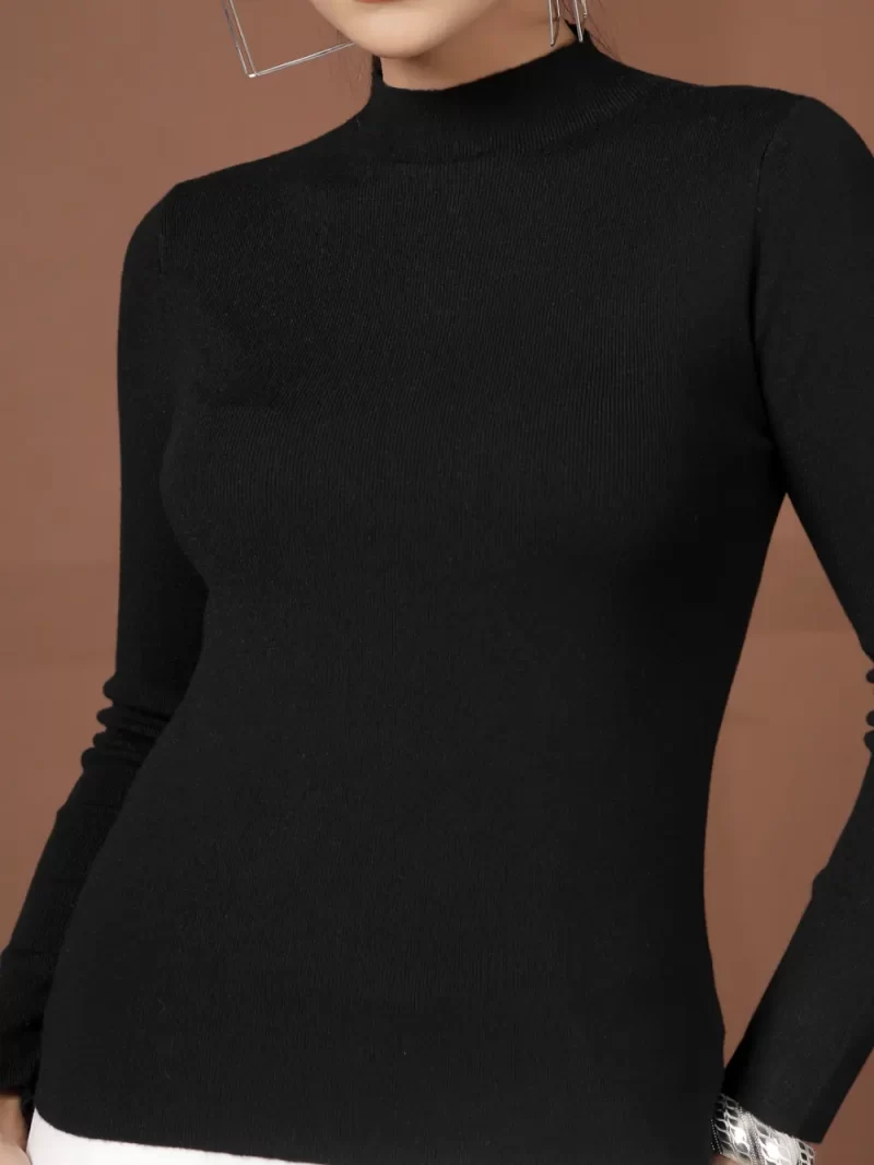 Women Solid Turtle Neck Top