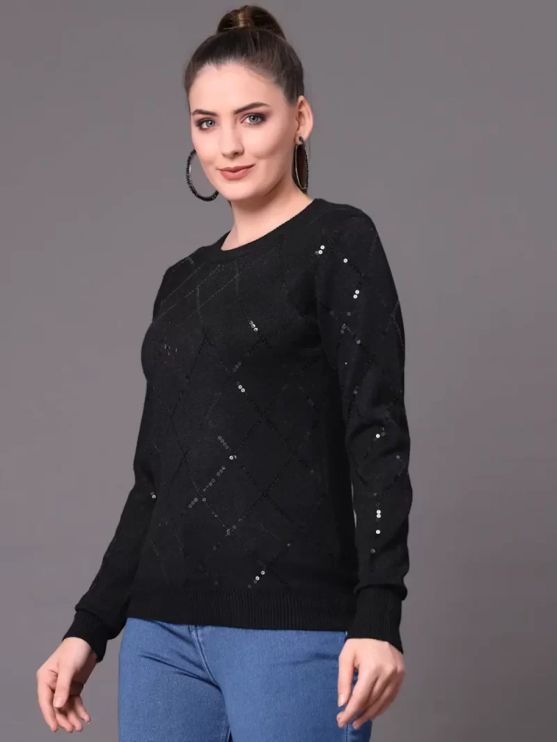 Women Embroidered Pullover With Embellished Top