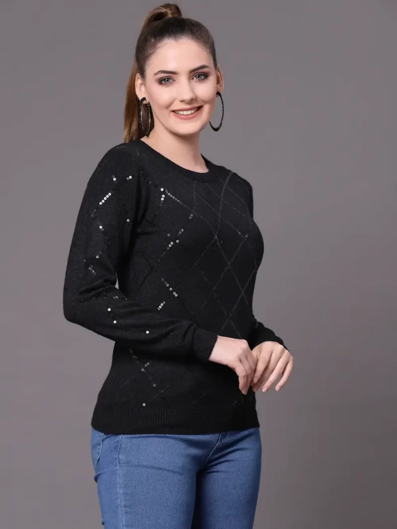 Women Embroidered Pullover With Embellished Top