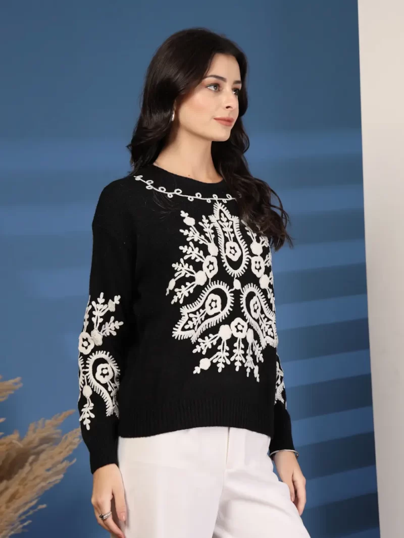 Women Embroidered Ethnic Motifs Round Neck Top