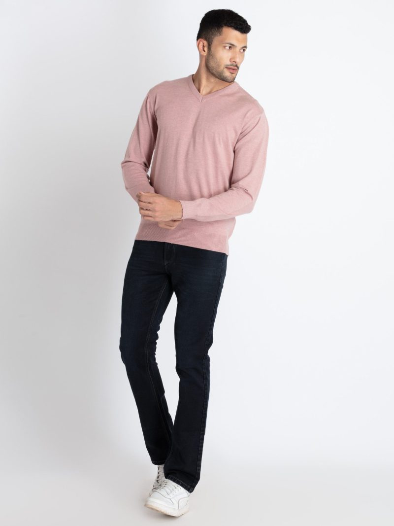 Status Quo Men'S Solid V-Neck Sweater