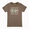 Gini And Jony Boys Khaki Graphic Print Cotton T-Shirt Half Sleeves
