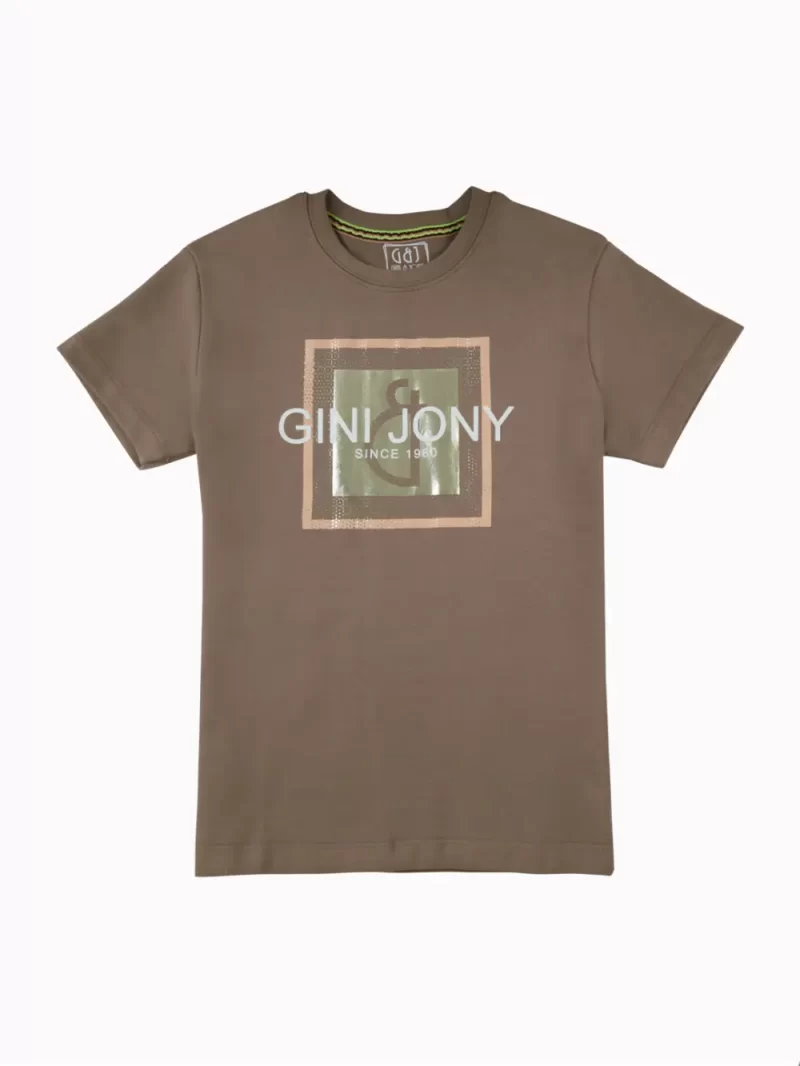 Gini And Jony Boys Khaki Graphic Print Cotton T-Shirt Half Sleeves