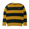 Gini And Jony Boys Yellow Cable Knit Acrylic Sweater Full Sleeves