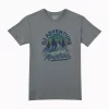 Gini And Jony Boys Grey Graphic Cotton T-Shirt Half Sleeves