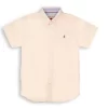 Gini And Jony Boys Beige Solid Cotton Shirt Half Sleeves