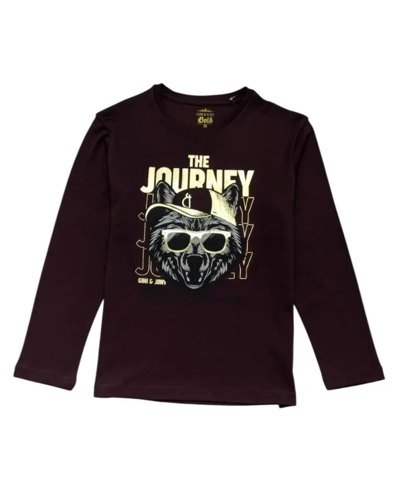Gini And Jony Girls Maroon Graphic Cotton Knits Top Full Sleeves