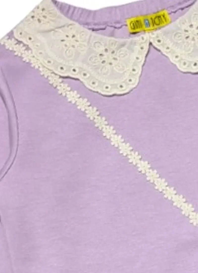 Gini And Jony Girls Purple Applique Cotton Sweat Shirt Full Sleeves