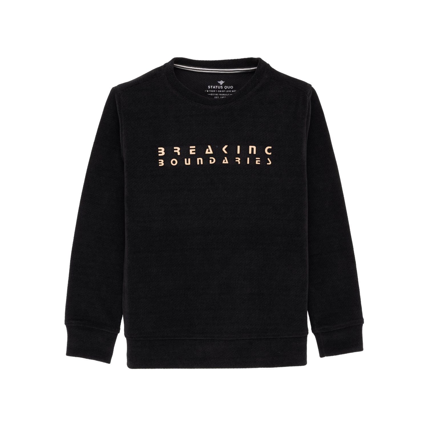 Status Quo Chest Typography Printed Full Sleeves Round Neck Lighweight Sweatshirt