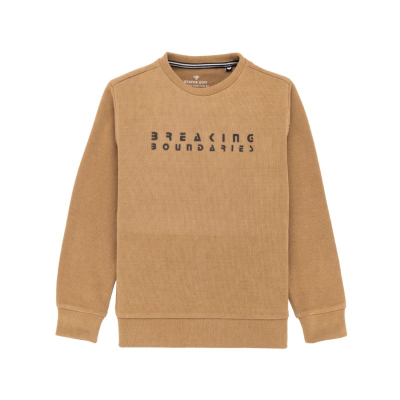 Status Quo Chest Typography Printed Full Sleeves Round Neck Lighweight Sweatshirt