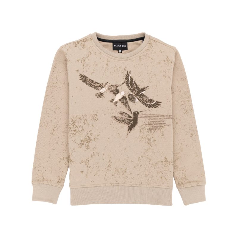 Status Quo Boys Birds And Typography Printed Round Neck Fleece Full Sleeve Sweatshirt