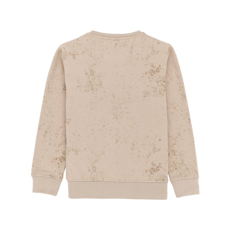 Status Quo Boys Birds And Typography Printed Round Neck Fleece Full Sleeve Sweatshirt