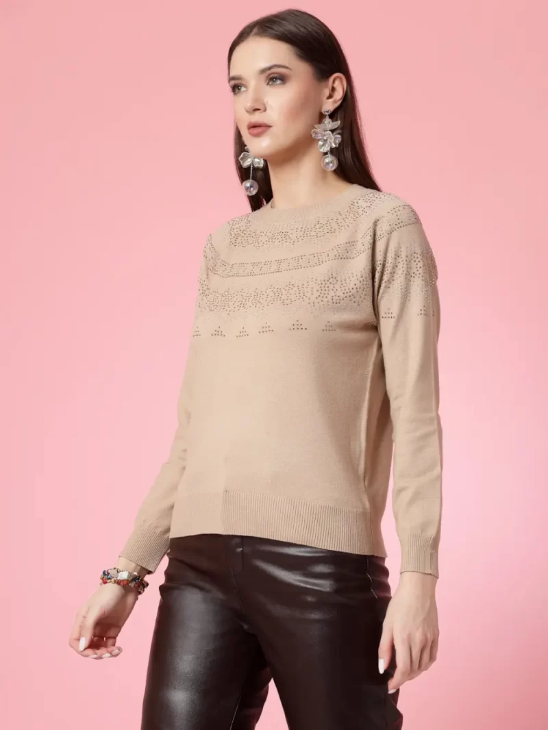Self Design Embellished Pullover
