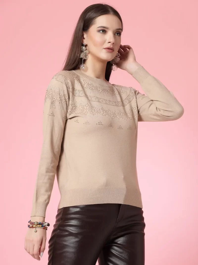 Self Design Embellished Pullover