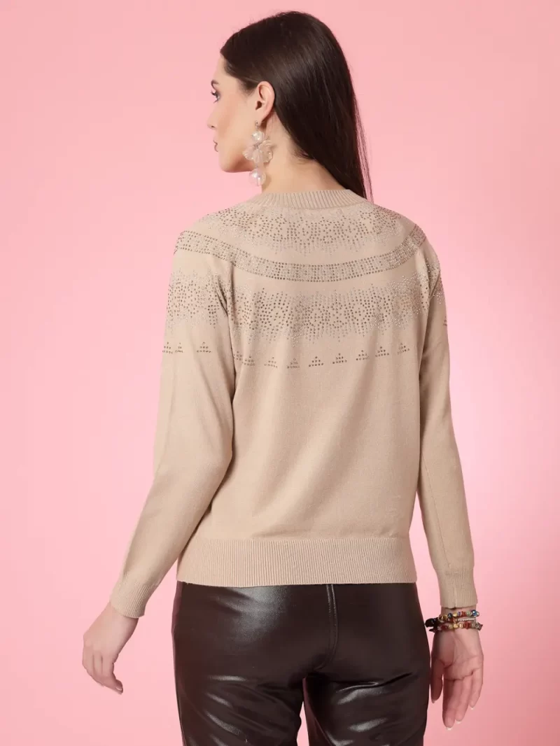 Self Design Embellished Pullover