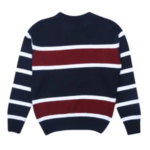 Gini & Jony Boys' Navy Blue Sweater | Striped | Hand-Wash | Sweater | Roundneck |