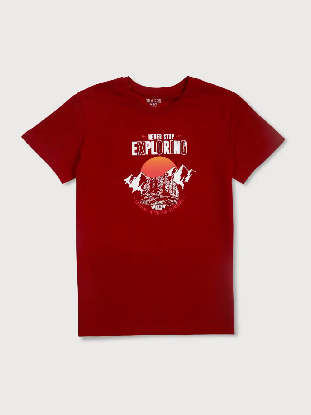 Gini & Jony Boys Printed Cotton Blend Regular T Shirt