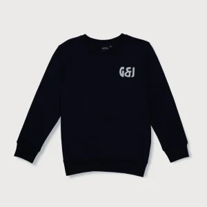 Boys Blue Cotton Printed Sweatshirt