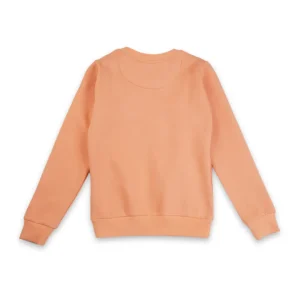 Boys Cotton Printed Sweatshirt