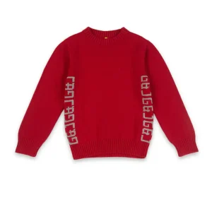 Gini & Jony Applique Crew Neck Casual Boys Sweater