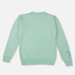 Gini And Jony Girls Green Sequin Acrylic Sweater Full Sleeves