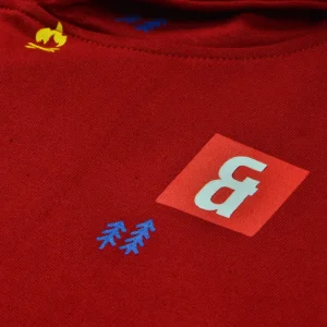 Gini And Jony Boys Red Conversational Print Cotton Sweat Shirt Full Sleeves