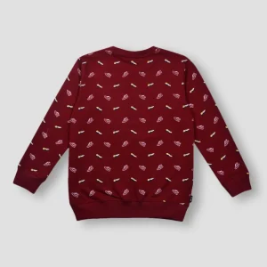 Gini & Jony Boys Hooded Sweatshirt