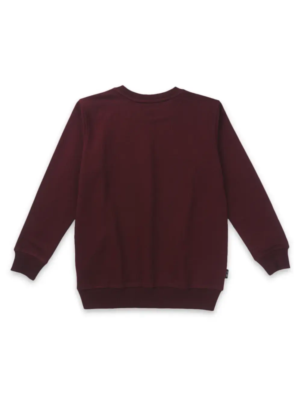 Boys Printed Fleece Sweat Shirt