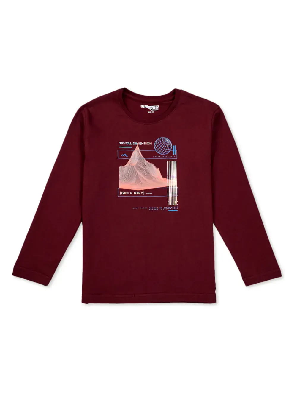 Gini And Jony Boys Grey Printed Cotton Full Sleeves T-Shirt