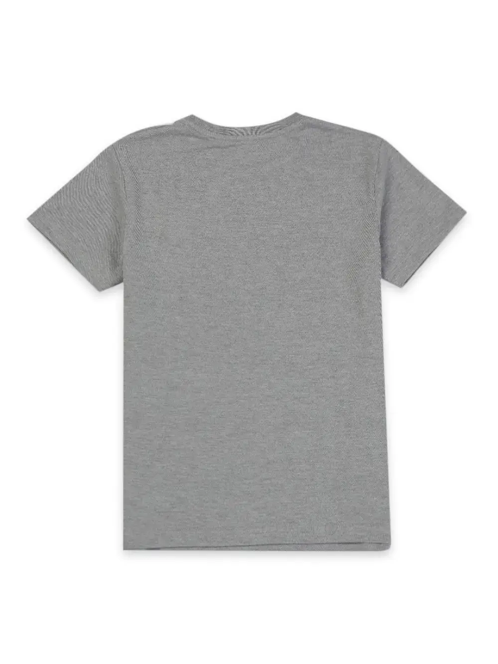 Gini & Jony Boys Grey Printed Cotton Full Sleeves T-Shirt