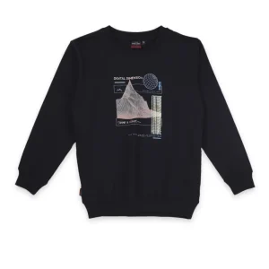 Boys Blue Cotton Printed Sweatshirt