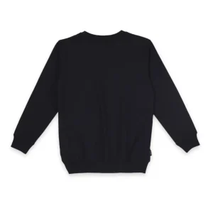 Boys Blue Cotton Printed Sweatshirt