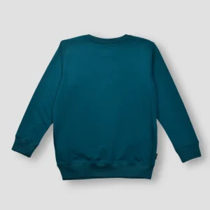 Gini And Jony Boys Teal Graphic Print Cotton Sweat Shirt Full Sleeves