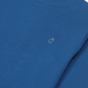 Gini And Jony Girls Blue Solid Cotton Skivvy Full Sleeves 15-16Y