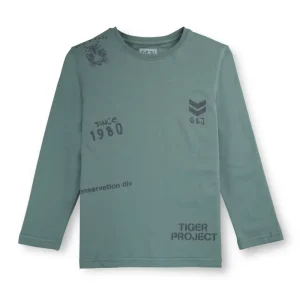 Gini And Jony Boys Green Solid Cotton Full Sleeves T-Shirt