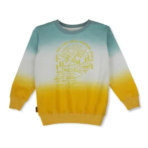 Boys Printed Fleece Sweat Shirt