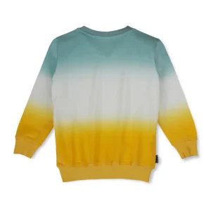 Boys Printed Fleece Sweat Shirt
