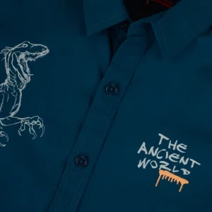 Gini And Jony Boys Solid Cotton Shirt
