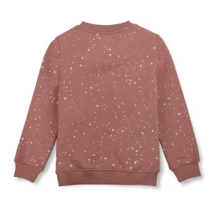 Boys Blue Cotton Printed Sweatshirt