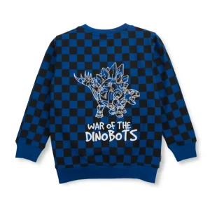 Boys Blue Cotton Printed Sweatshirt